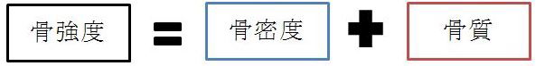 骨密度